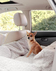 Dog sitting in Beige Teddy car travel dog bed from Le Noof in a car