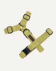 Kelly green teddy step in harness