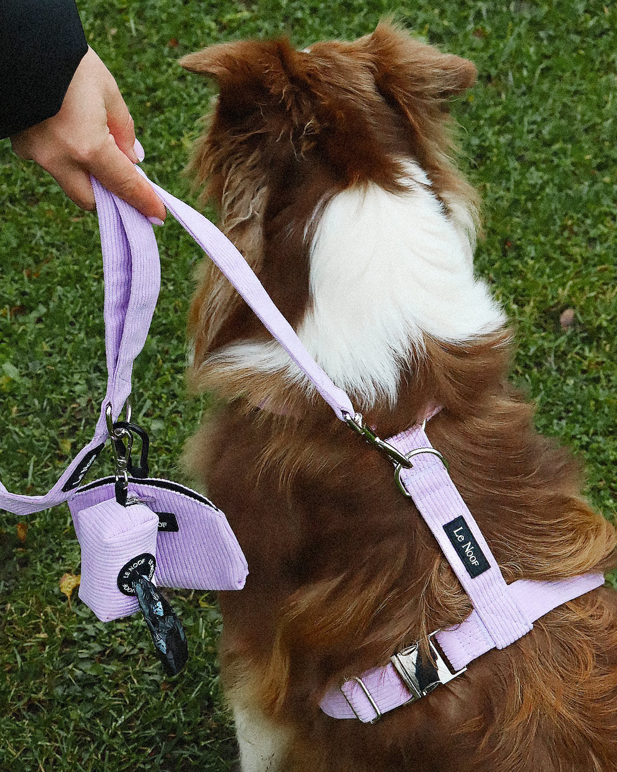 Lavender Corduroy Step-In Harness