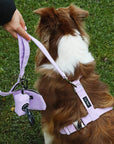 Lavender Corduroy Dog Treat Pouch