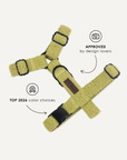 Kelly green teddy step in harness