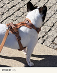 Brown Waterproof Dog Leash