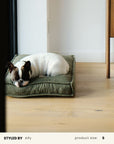 French Bulldog Green Boucle Square Dog Bed