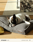 French Bulldog Grey Boucle Square Dog Bed