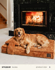 Tan Brown Flannel Orthopedic Dog Bed