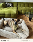 Beige Teddy Sofa Dog Bed