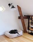 Dog lying on Le Noof's Premium Teddy Dog Sofa Bolster Bed in home office