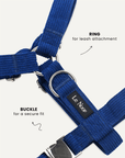Blue corduroy step-in dog harness close-up, Le Noof