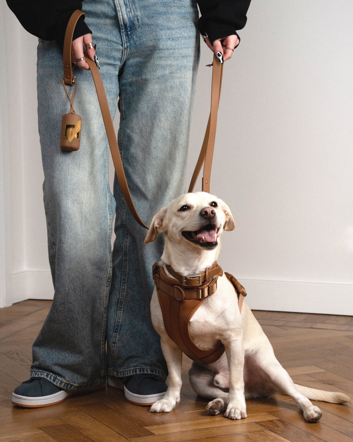 Brown dog walk kit with harness, Le Noof