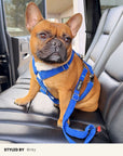 Blue Corduroy Step-In Dog Harness