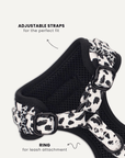 Cow print dog harness close-up, Le Noof