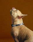 French bulldog with Cow print dog collar made by Le Noof