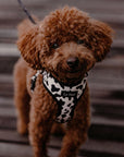 Cow Print Dog Harness