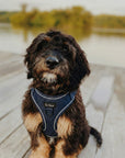 Dark Blue Denim No-Pull Dog Harness