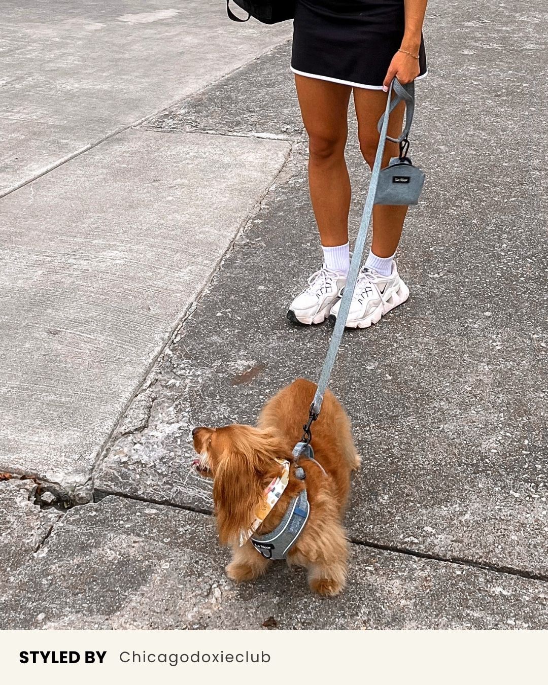 Light Blue Denim Dog Leash – Le Noof