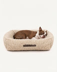 French Bulldog Beige Teddy Sofa Bed