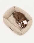 French Bulldog Beige Teddy Sofa Bed