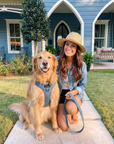 Light Blue Denim No-Pull Dog Harness