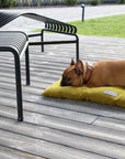 Chartreuse green boucle floor dog pillow, Le Noof