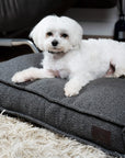 Grey boucle square dog bed customer review, Le Noof