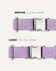 Lavender corduroy dog collar size comparison, Le Noof