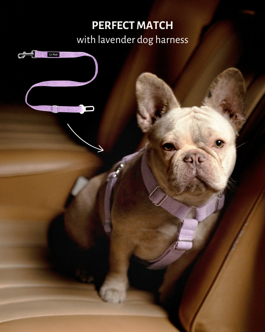 Lavender dog harness and seatbelt travel set, Le Noof