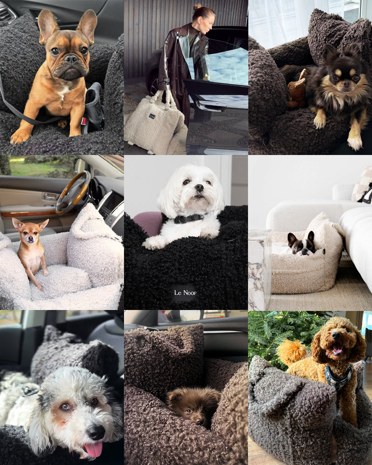 Beige Teddy Car Dog Bed