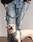 Light blue denim dog walk kit, Le Noof
