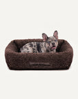 French Bulldog Brown Teddy Dog Bed