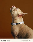 Mix & Match Dog Collar Set