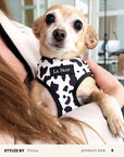 Cow Print Dog Harness