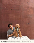 Brown Herringbone Tough No-Pull Harness