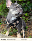 Brown Checkered No-Pull Dog Harness
