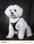 Black Denim No-Pull Harness Set