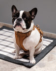 White plaid outdoor travel dog mat, Le Noof
