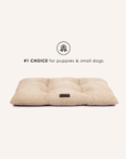 Beige boucle floor dog pillow with puppies, Le Noof