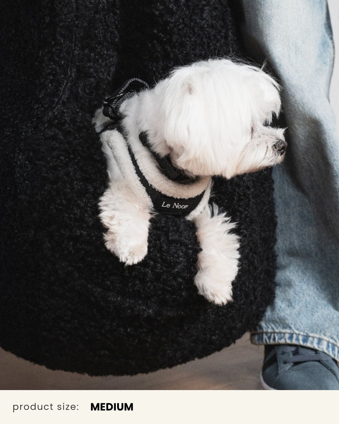 Black Teddy Car Dog Bed