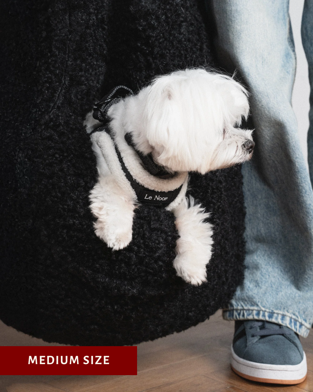 Black Teddy Car Dog Bed