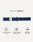 Blue corduroy dog collar, Le Noof
