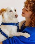 Blue corduroy step-in dog harness, Le Noof