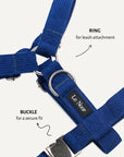 Blue corduroy step-in dog harness close-up, Le Noof