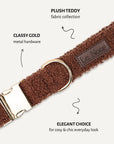 Brown teddy dog collar close-up, Le Noof