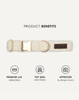 Cream white teddy dog collar, Le Noof