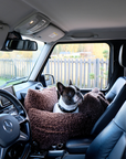 French Bulldog Brown Teddy Car Dog Bed