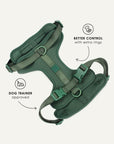 Green adjustable no-pull dog harness, Le Noof