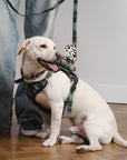 Dog owner holding green plaid leash with white dog wearing matching backpack harness