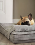 Grey corduroy orthopedic dog bed customer review, Le Noof