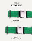Kelly green corduroy dog collar size comparison, Le Noof