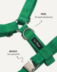 Kelly green corduroy step-in dog harness close-up, Le Noof