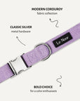 Lavender corduroy dog collar close-up, Le Noof